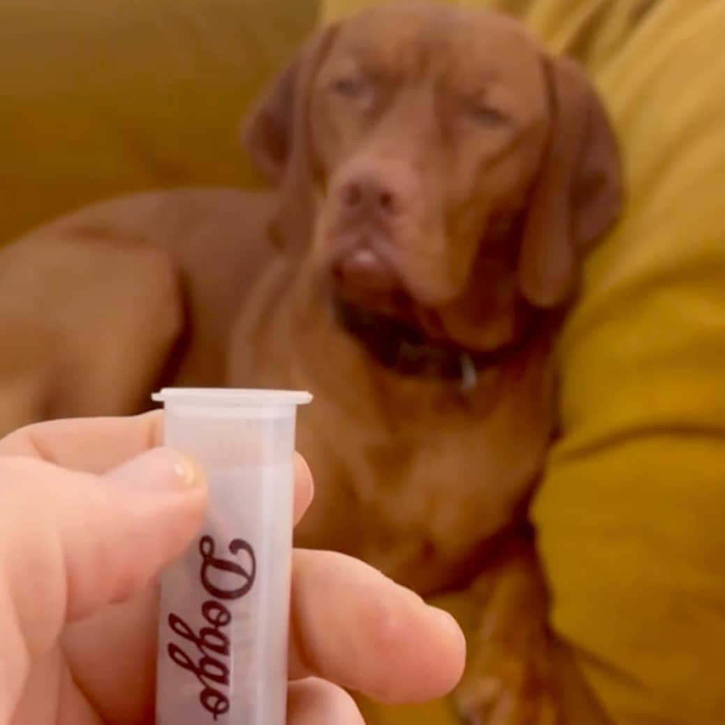 How to pop open a Doggo Treat Tube