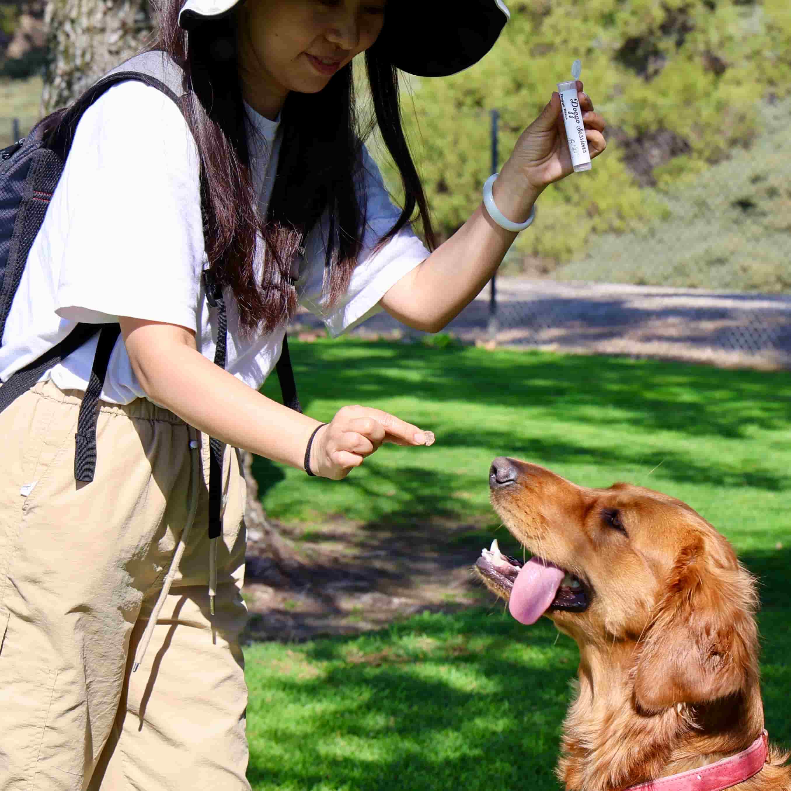 Woman feeding dog a treat