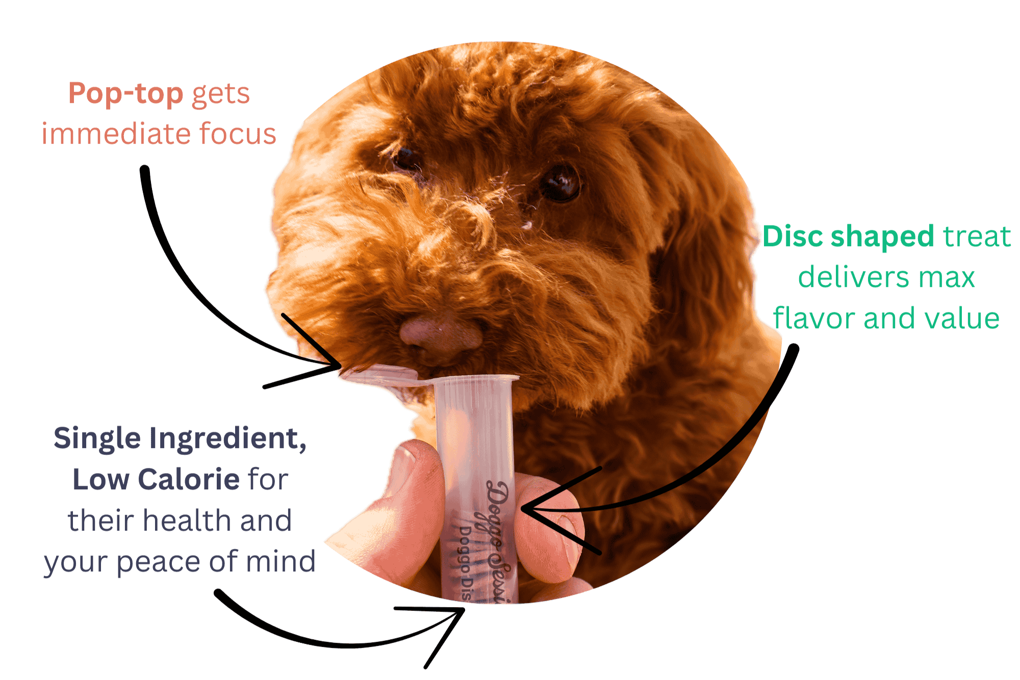 FUNSIZE TREAT TUBES YOUR DOG WILL LOVE