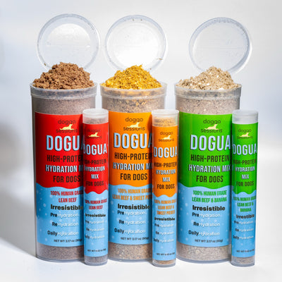 Dogua - High-Protein Hydration Mix