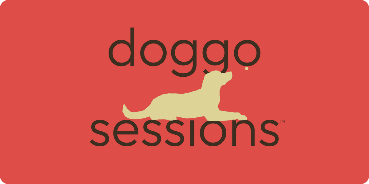 Doggo Sessions | Portable Freeze-Dried Training Treats