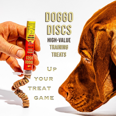 Doggo Discs - Pocket-Ready Training Treats