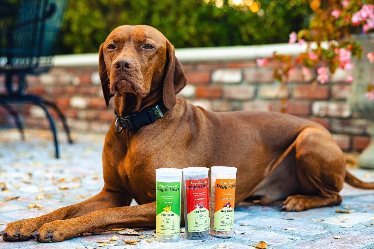 Present for the Picky - Gift Cards for freeze-dried dog treats