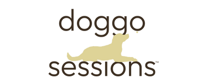 Doggo Sessions