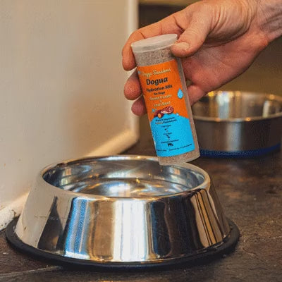 A dog drinking water with Dogua hydration mix stirred in